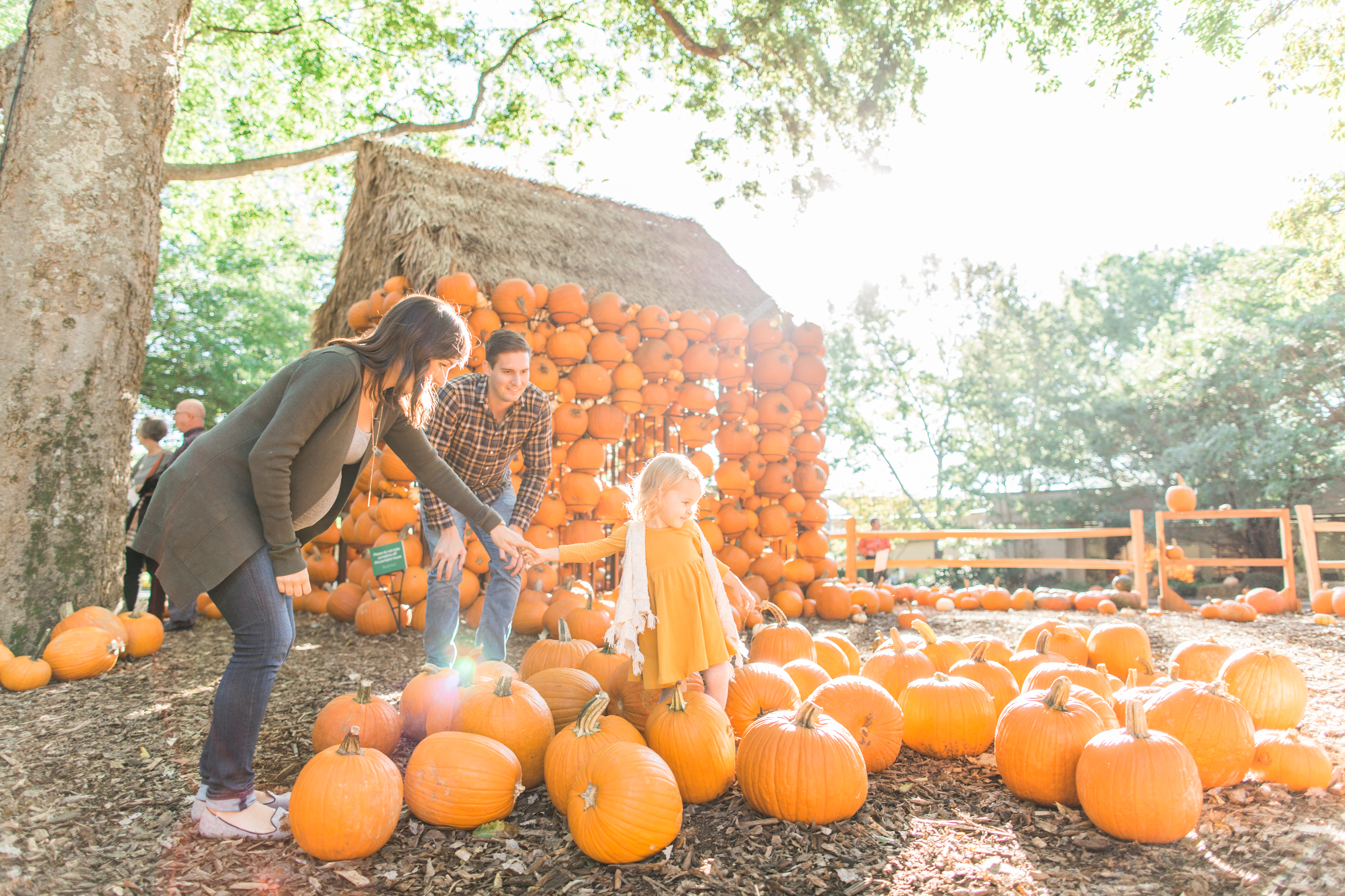 Cheekwood Harvest in Nashville