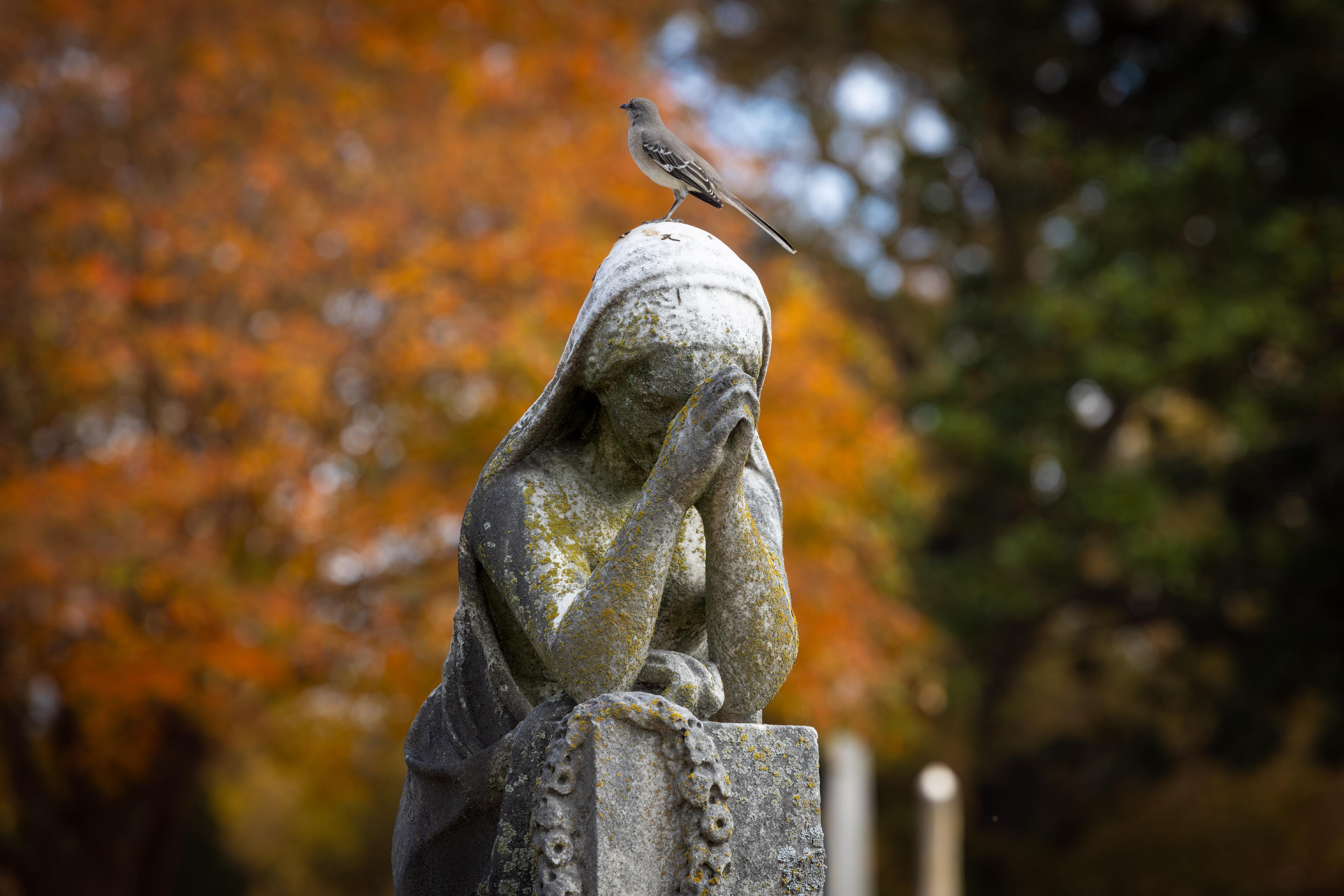 Elmwood Cemetery in Memphis
