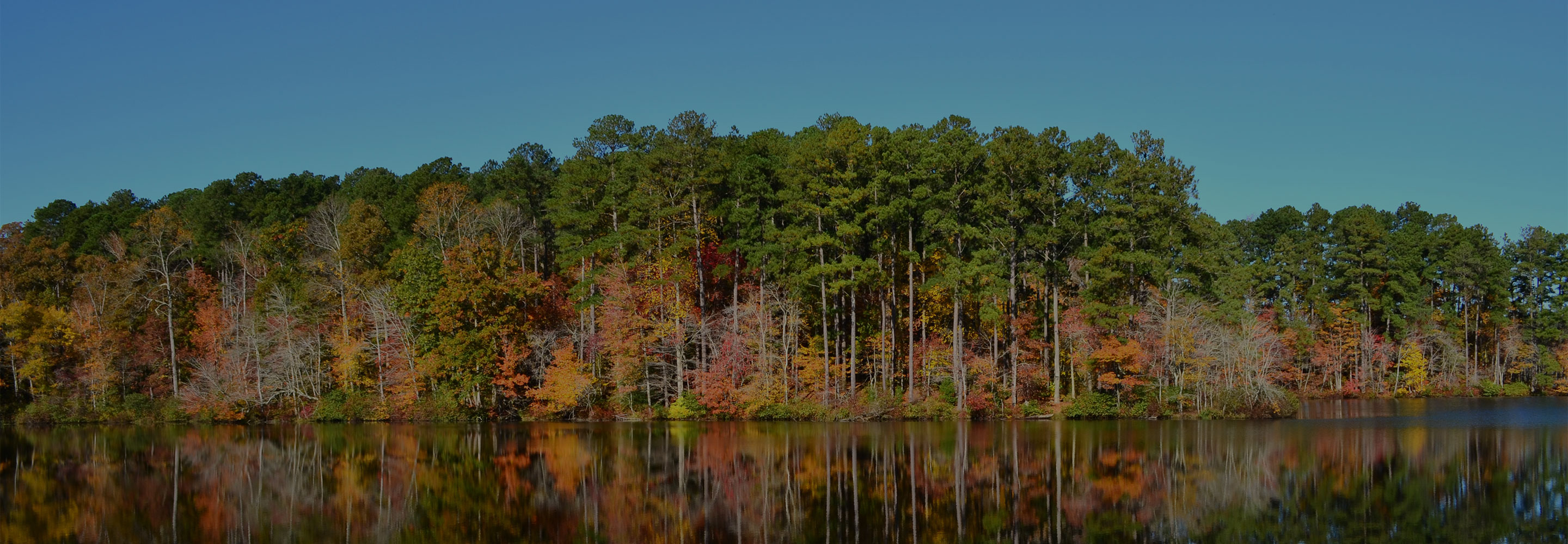 Natchez Trace State Park in Wildersville
