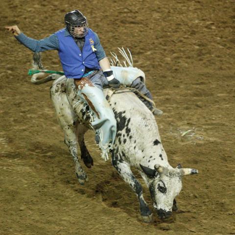 Broncos and Barrel Racing at University of Tennessee Martin 47th Annual Spring College Rodeo