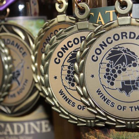 Bands, food vendors, wine seminars set for Nine Lakes Wine Festival Saturday, May 20