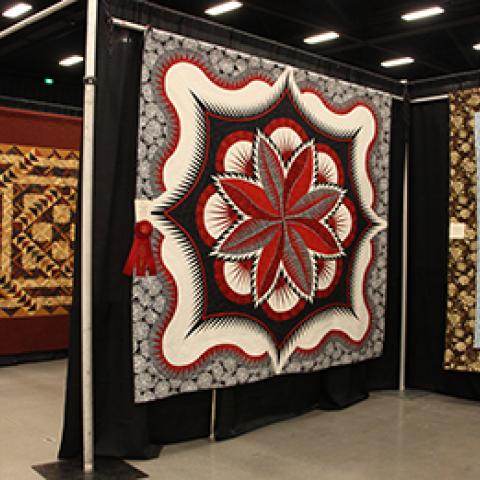 MORE THAN 500 ARTFUL QUILTS EXPECTED AT A MOUNTAIN QUILTFEST IN PIGEON FORGE