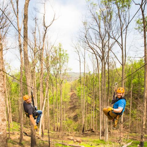 Anakeesta Partners with Local Businesses to Create Magical Mountain Experience