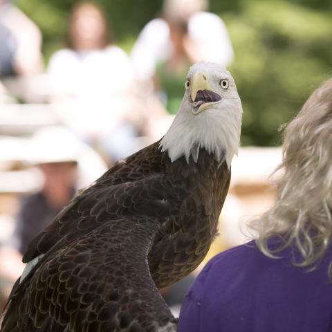 Celebrate Earth Day at Rock City Gardens
