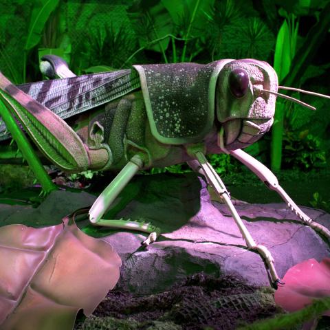 BUGS! Larger than Life Traveling Exhibit Opens at Discovery Park of America