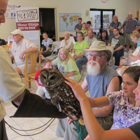 Unique Birding Experiences Await During Hatchie BirdFest in Brownsville 