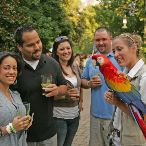 Brew at the Zoo on Tap for June 2 Presented by M.L.Rose Craft Beer & Burgers