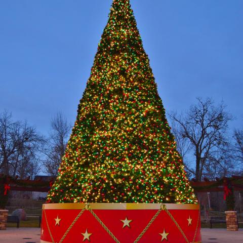 Tree-Lighting Ceremony Set for Sunday, Dec. 3 in Downtown Cookeville