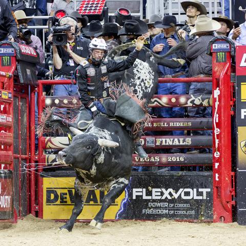 Professional Bull Riders Come Back to Chattanooga