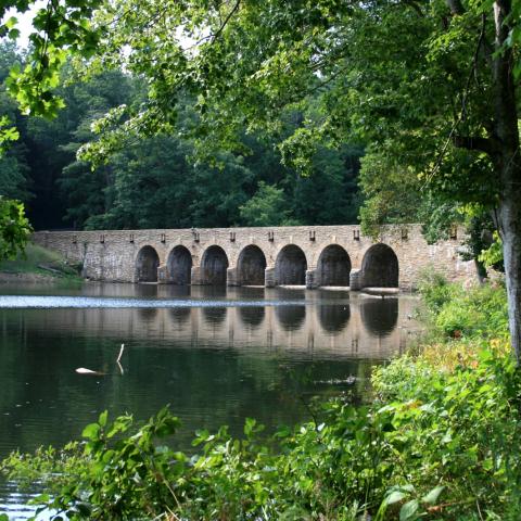 Experience the Historic Solar Eclipse Path of Totality at Cumberland Mountain State Park