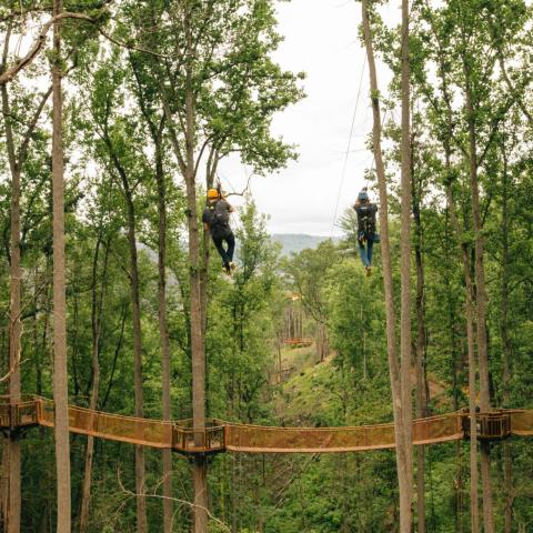 Anakeesta, Gatlinburg’s Newest Family Attraction, to Open on Friday, Sept. 1
