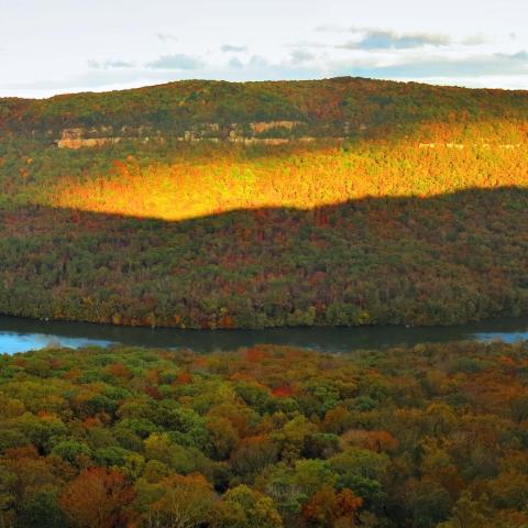 River GORGEous! A Feast of Foliage: Fall Color Cruises Offer Unique Perspective on Autumnal Splendor of Tennessee River Gorge