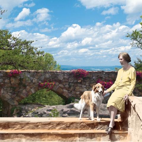 Celebrate 85 Years at Rock City Gardens at the  9th Annual Southern Blooms Festival 