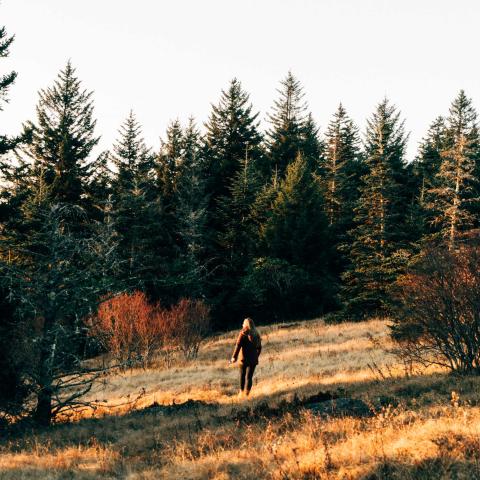 Great Smoky Mountains National Park Invites the Public to #OptOutside after Thanksgiving Day