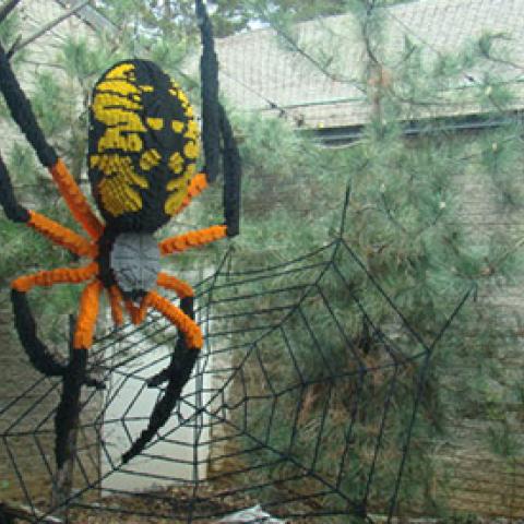 MEMPHIS ZOO ANNOUNCES NATURE CONNECTS: ART WITH LEGO BRICKS