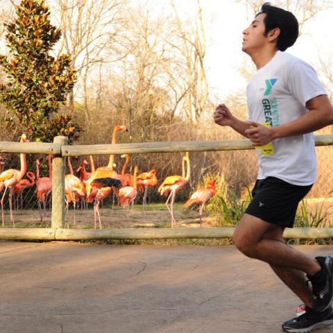Nashville Zoo Run Run 5K Takes Participants Past Habitats in Nashville Zoo
