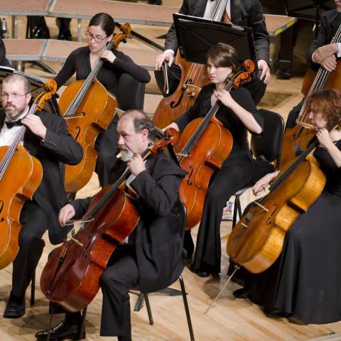 Oak Ridge Symphony Orchestra Celebrates 73rd Season with Free Concert