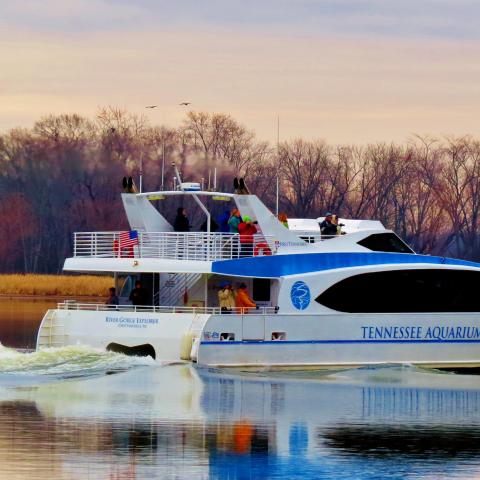 Sandhill Crane Cruises Spectacularly Cap River Gorge Explorer’s Nine-Year Run