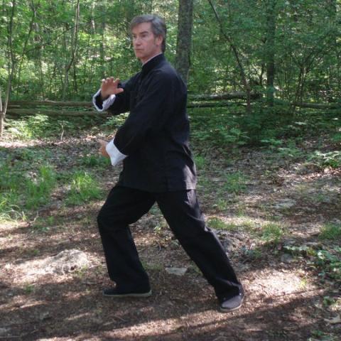 2017 World Qi Gong and Tai Chi Day On the Grounds of Oaklands Mansion