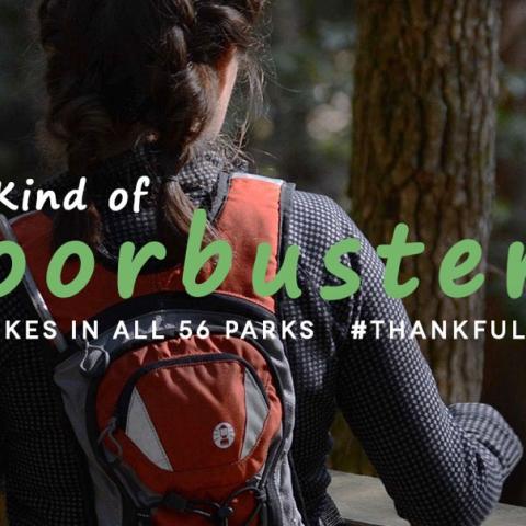 Tennessee State Parks Host “Day After Thanksgiving” Hikes
