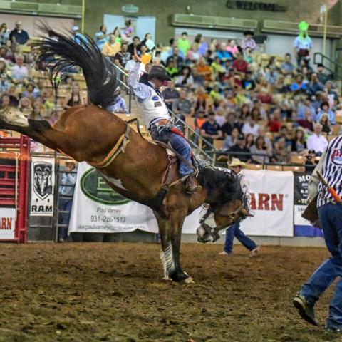 Tickets on Sale for Franklin’s Annual Rodeo, Largest Rodeo in Tennessee