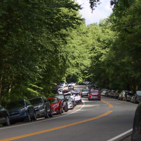 NPS photo. Overflow hiker parking along Newfound Gap Road near the Alum Cave Trailhead on 7/11/20.  