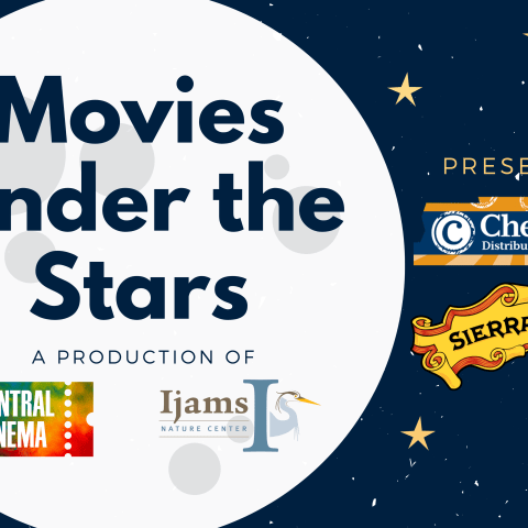 Movies Under the Stars