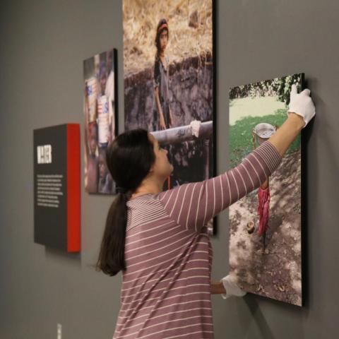 Senior director of exhibits, Jennifer Wildes, installing Discovery Park's latest temporary exhibit, "40 CHANCES."