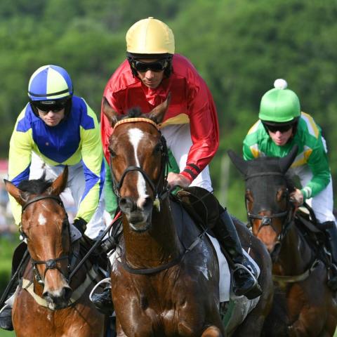 Iroquois Steeplechase sporting event 