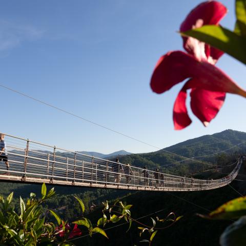 Gatlinburg SkyBridge