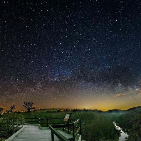 Discover 10 Places to Stargaze in Tennessee