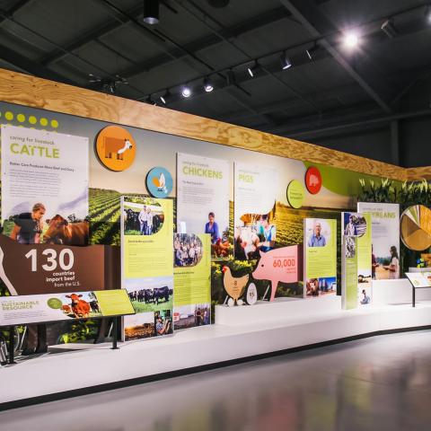 “AgriCulture: Innovating for Our Survival” at Discovery Park of America explores how food, fuel and fiber get from the farm to the family.