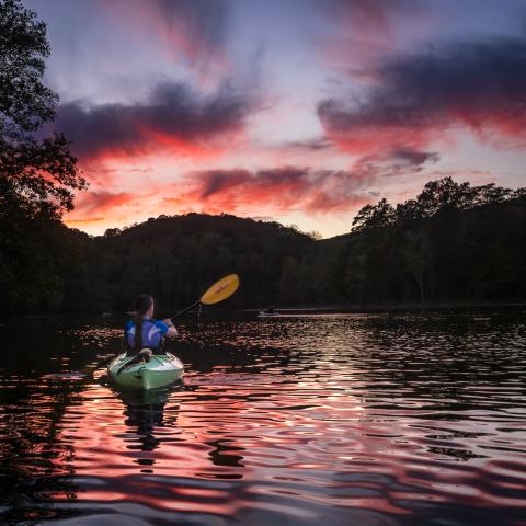 Bays Mountain