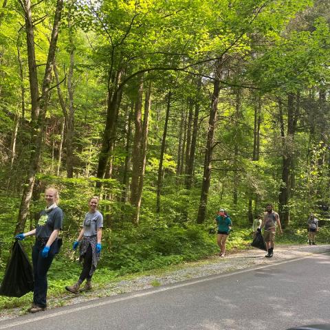 Northeast Tennessee Tourism Clean-Up