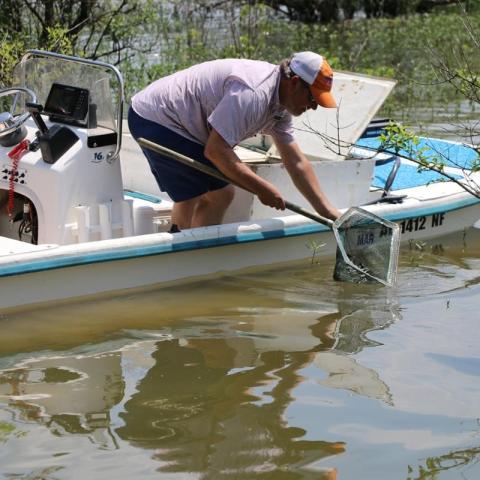 Florida Bass Release