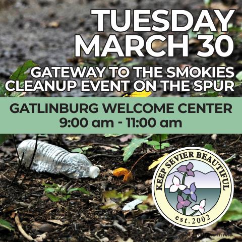 ‘Gateway to the Smokies Cleanup’