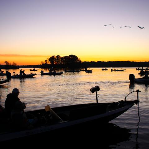 Fishing at sunset on Old Hickory Lake in Hendersonville, Tennessee.