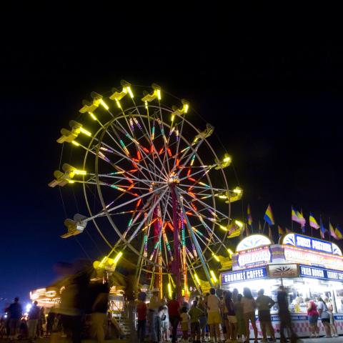 night image of Tennessee State Fair with ferris wheel lighted up