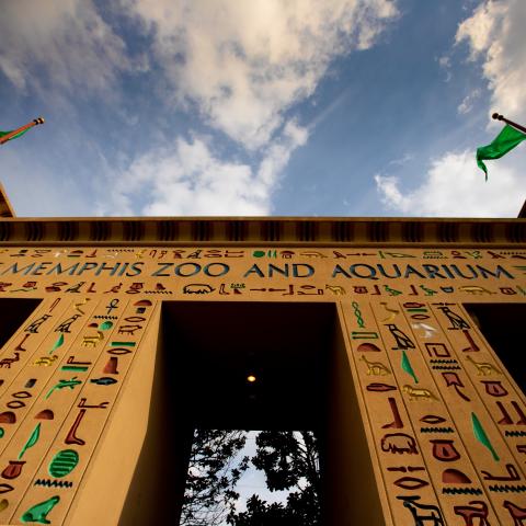 The Memphis Zoo in Memphis, Tennessee.