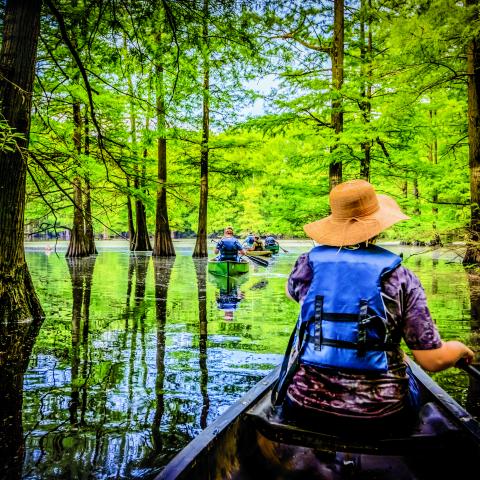 Meeman-Shelby Forest State Park in Memphis. Person with hat on in kayak, rafting through waters surrounded by lush trees. 