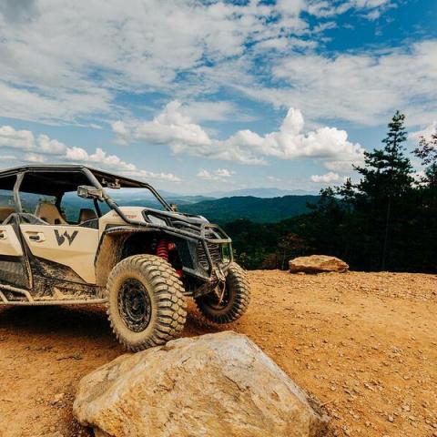 What's New this Summer in Tennessee