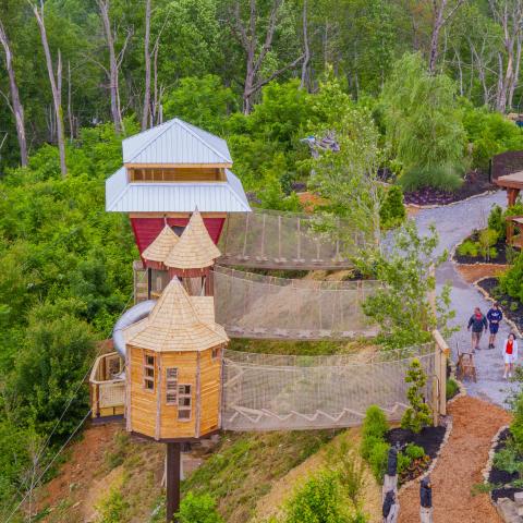 TreeVenture attraction at Anakeesta in Gatlinburg, TN